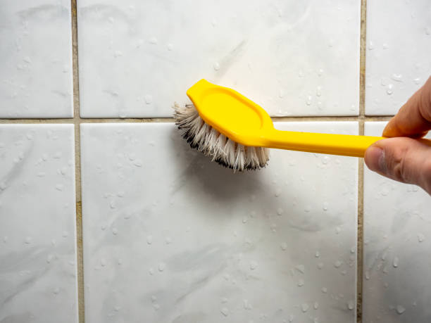 Trusted Bloomingburg, OH Mold Removal Experts