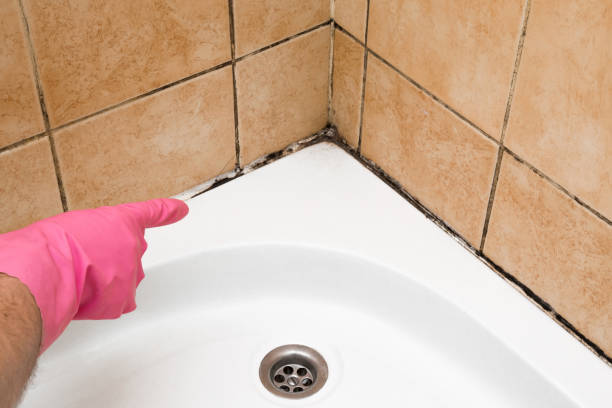 Best Commercial Mold Removal  in Bloomingburg, OH